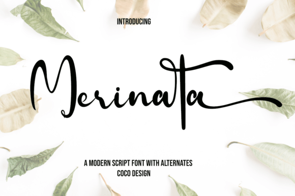 Merinata: A Charming Script Font