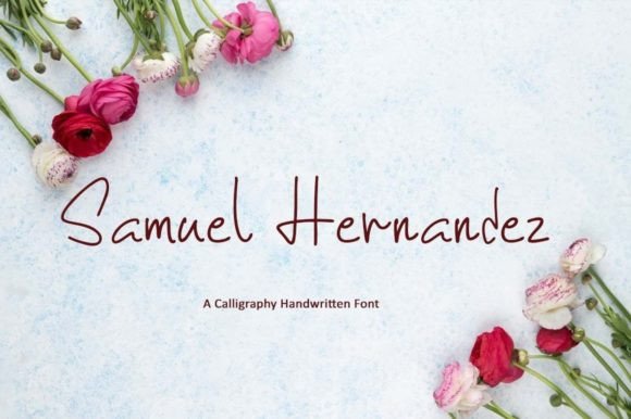 Samuel Hernandez Review