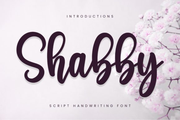Shabby Font: Sweet Handwritten Style